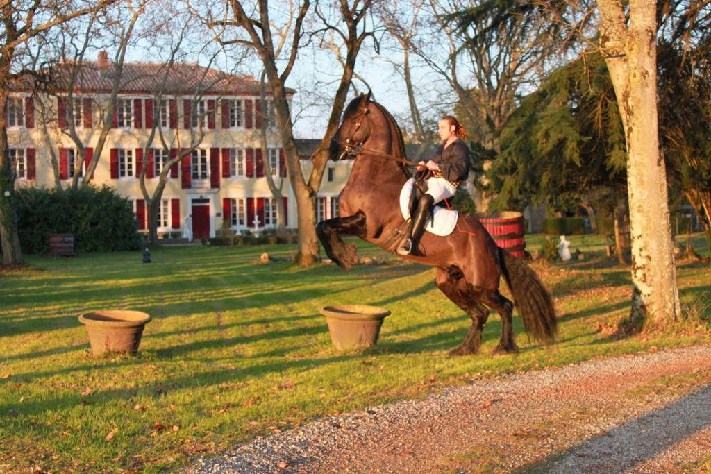 Le Relais Du Silence Chateau Lavail Labastide-d'Anjou ภายนอก รูปภาพ