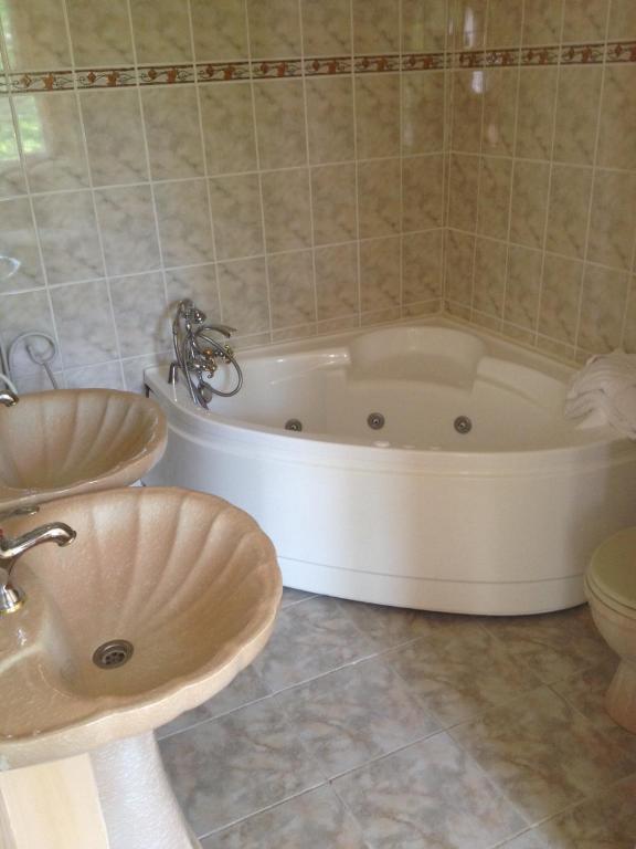 Le Relais Du Silence Chateau Lavail Labastide-d'Anjou ห้อง รูปภาพ
