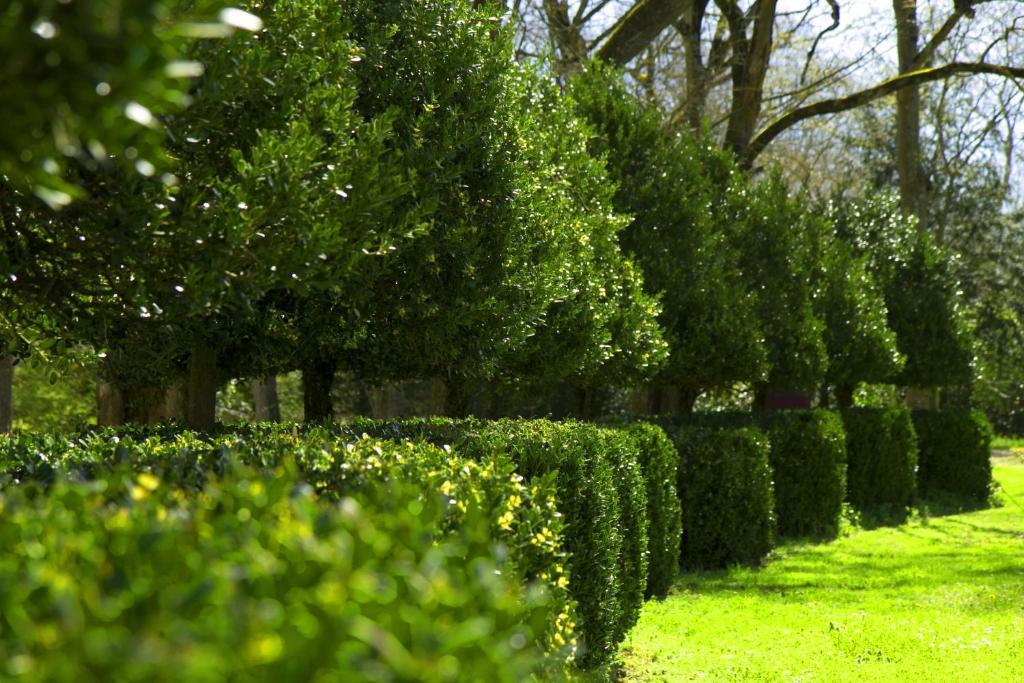Le Relais Du Silence Chateau Lavail Labastide-d'Anjou ภายนอก รูปภาพ